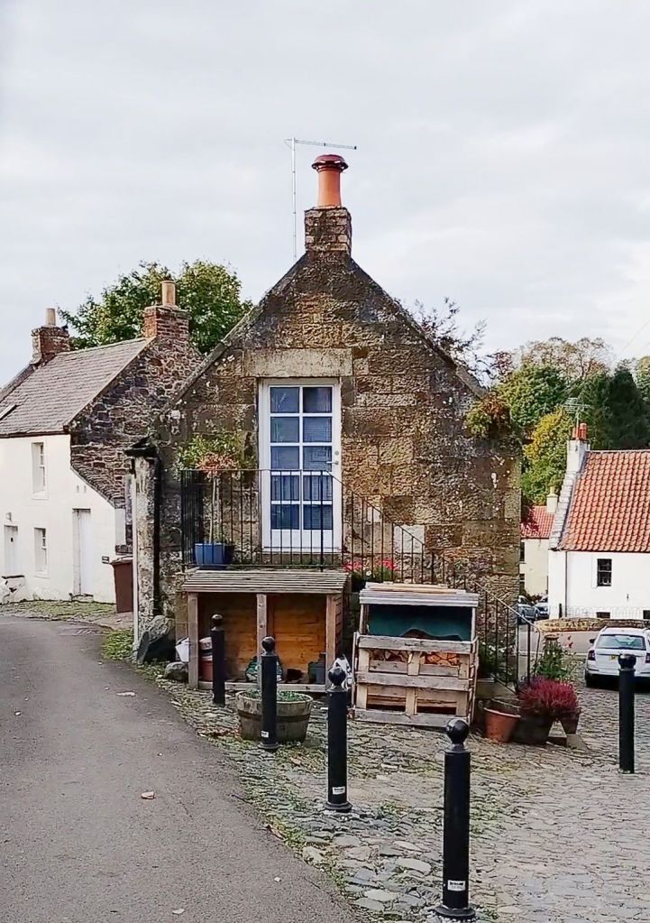 wp-1733369488102438206222247283335